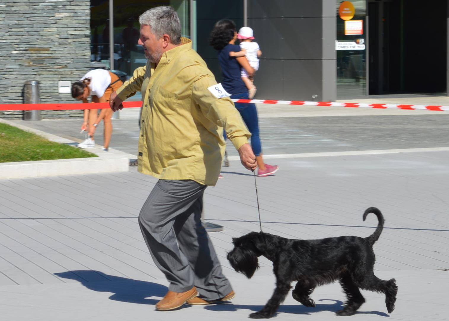 01_Чирпи.jpg