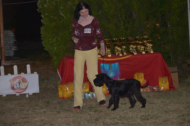 DSC_19501.jpg