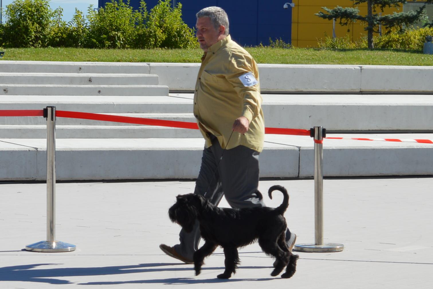 04_Чирпи.jpg