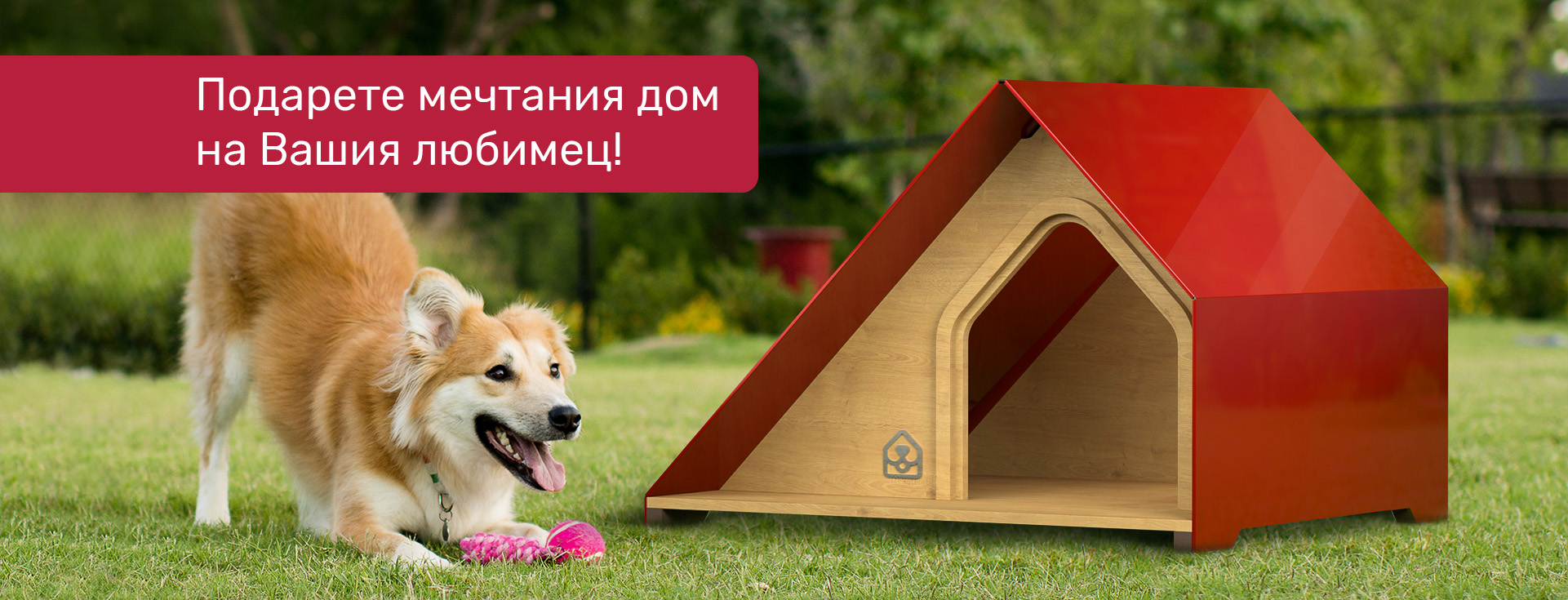 1675862761_PETFORT_-_SPLASH_2_v1.0_1920_734.jpg